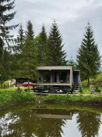 Дебрі - будинок біля озера в Карпатах - Bed and Breakfast Krivopol’ye