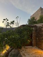 Agrià XVII Mani Stone Tower - B&B Kotrafi