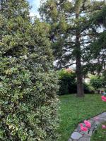 Alloggio il pino - Bed and Breakfast Casaleggio Boiro