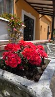All'Uliveto - B&B Santa Maria di Licodia