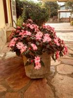 Pousada Portal - B&B
