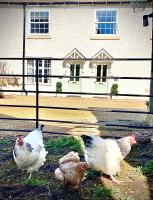 Moat Cottage, Newby Hall, Ripon, North Yorkshire - Bed and Breakfast Copt Hewick