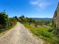 Quinta de Locaia - Refúgio em pedra 19ha - Vistas e total privacidade - B&B Salvador do Monte