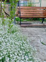 Private House with Garden near Naslavcea - Ferienwohnung Ocnița