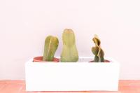Ceramic Rooms Boutique Hostel - B&B Vila-real