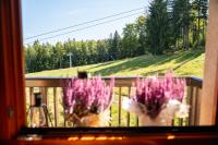 Appartamento con 1 Camera da Letto, Balcone e Vista Montagna 