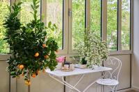 Maison de campagne avec jardin au bord de lEure - B&B Montreuil