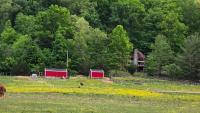 A-Frame Getaway with Hot tub, Sauna, Fire Pit & Pond - Station Camp Getaway - B&B Irvine