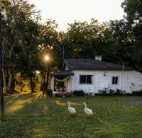 The Cottage next to Cambewarra Estate Winery - B&B Cambewarra Village