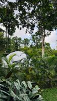 Tropical Escape Domes - B&B Guápiles