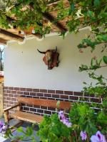 Yanamanka - B&B Yanama