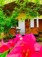 Die Elefanten Udawalawe - B&B Udawalawa