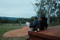 Saddle Camp Tiny House 3 by Tiny Away - B&B Braidwood