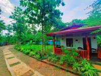 Die Elefanten Udawalawe - B&B Udawalawa