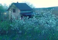 Casa Tranquila - peace & retreat - Bed and Breakfast Cruglic
