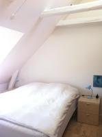 Penthouse loft - 2 bedrooms - centrally Copenhagen - B&B Copenaghen