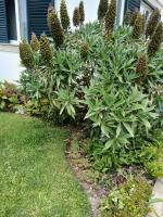 Casa Rural - Ferienwohnung Esposende
