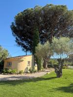 Le mazet du grand pin - Bed and Breakfast Cogolin