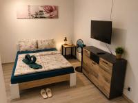 Apartment mit 1 Schlafzimmer