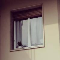 Homefish - B&B Rapallo