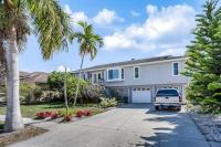 Madagascar Palm - B&B Marco Island