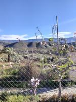 Finca Indalopez - B&B Tabernas