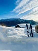 Log cabin in Hodlekve with mountain view - Bed and Breakfast Sogndal