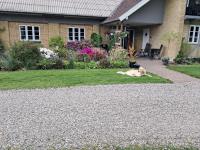 Naturskønt nær Ribe Vikingecenter, se og oplev den gamle by Ribe - Chambres d'hôtes Ribe