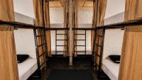 Bett im gemischten Schlafsaal mit 8 Betten