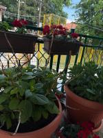 Apartman Kasumovic Old Town, Top Location, New - B&B Sarajevo