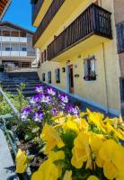 In Cima alla Contrada-Dolomiti & Lake View - B&B Pieve di Cadore