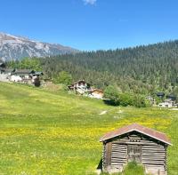Family home in Laax with stunning views - B&B Laax