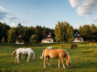 Wilczy Szept Domki Beskid Niski - B&B Olchowiec