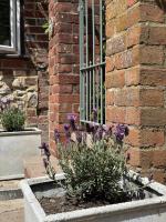 3 Bedrooms, 3 Double Beds, 6 Guests, Countryside Thatched Cottage - B&B Four Marks