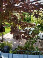 Fewo Kerstin - B&B Martenshagen