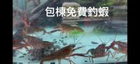 騎馬三星二館 - Ferienwohnung Qingzhou
