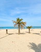 Approdo del Re - B&B Grottammare