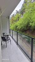 Nerse's Apartment - B&B Borjomi