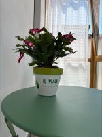 B&B Il Viale - Bed and Breakfast Ponte dell'Olio