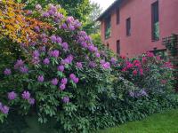 Zimmer am Ring - ruhiges Zimmer im Grünen, Frühstück auf eigener Terrasse mit Morgensonne und fußläufig zum Badeplatz Schwarzindien am Mondsee - Chambres d'hôtes Sankt Lorenz