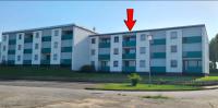 Lachmöwe - B&B Heringsdorf