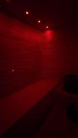 Love and Côte Love room avec jacuzzi et sauna privé - Bed and Breakfast Douvres-la-Délivrande