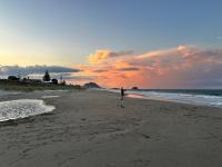 Rare Beachfront paradise - B&B Mount Maunganui