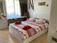 House St-George Studio Cozy with terrace and view on village of Zermatt - B&B Zermatt