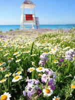 Thalassa - Bed and Breakfast Kalandra