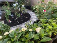1BR Garden Suite with Parking and Private Entrance - B&B Vancouver