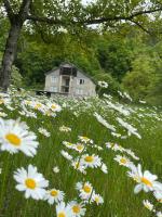 Guest House Tobuldar - B&B Kvemo Marghi