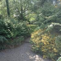 Gite Super Henanbihen - B&B Hénanbihen