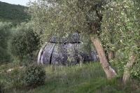Cosmo Camp - Bed and Breakfast Montepescali