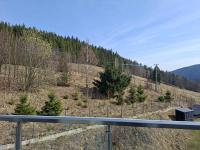 Aparthotel Apartamenty Czarna Góra 0301 - Ferienwohnung Sienna